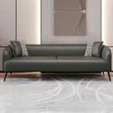 Color Dark Gray