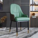 Color Green/Coffee