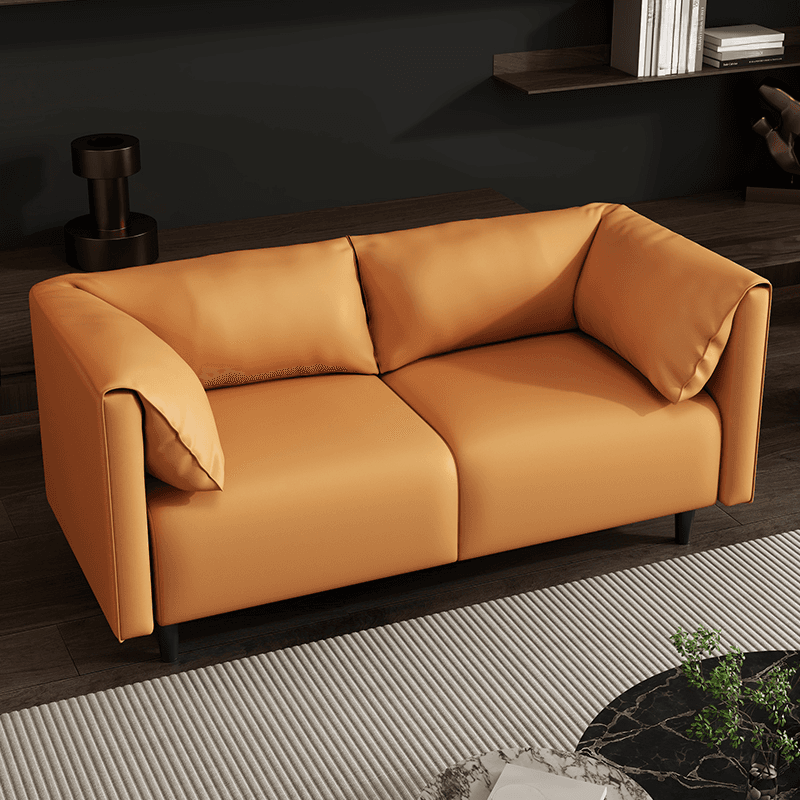 Simplistic Scratch-repellent/Water Resistant Sepia/Apricot Color/Dove Grey Loveseat/Standard Sofa with Cushion Back and Pillow Top Arm for 2-seater/for 3 for Sitting Room - image 4