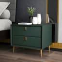 Color Blackish Green