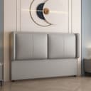 Color Light Gray