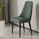 Color Blackish Green
