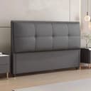 Color Dark Gray