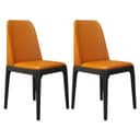 Color Orange