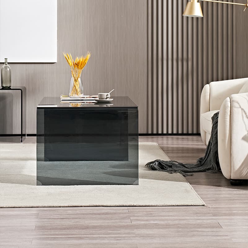 Modern Glass Coffee Table with Transparent Rectangular Top & Sleek Sled Base - image 11