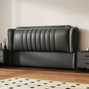 Color Dark Gray