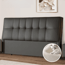 Color Dark Gray