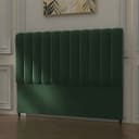 Color Dark Green