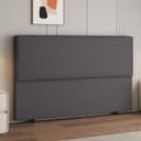 Color Dark Gray