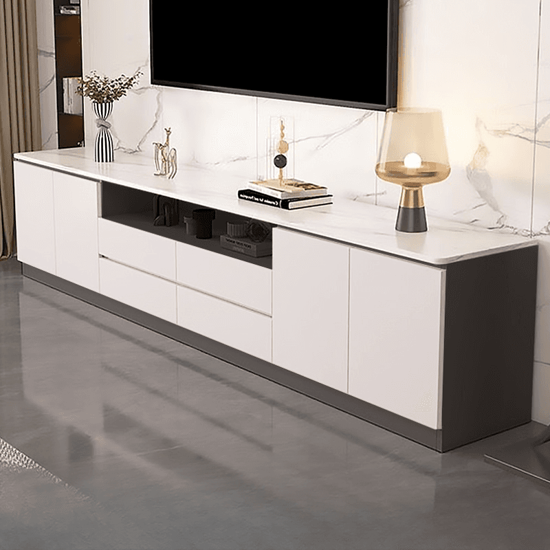 Sleek Vitreous Rectangular TV Stand with Door