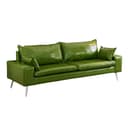 Color Avocado Green