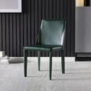 Color Dark Green