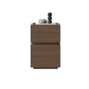 Color Nut/Brown