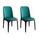 Color Black/Green