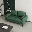 Color Blackish Green