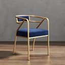 Color Blue/Gold