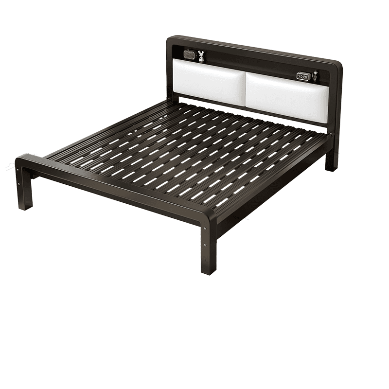 Minimalist Solid Color Storage Bed with Iron Frame and Leg for Living Room