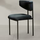 Upholstery Color Black