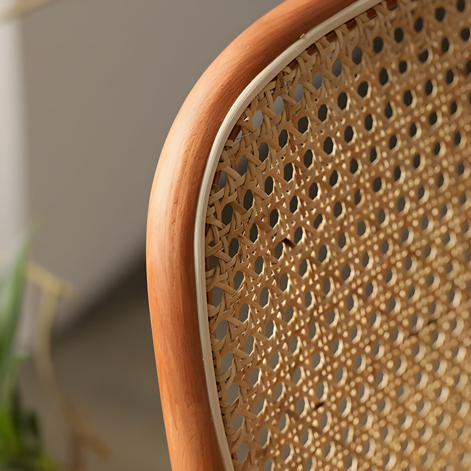 Traditional Style Dining Chair Solid Wood Cane Back Dining Room Chair - image 22