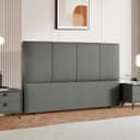 Color Dark Gray