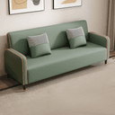 Color Olive Green