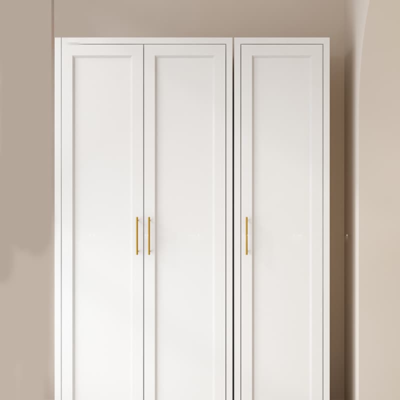Modern Metal Rectangular Lacquered Accent Cabinet with Adjustable Shelves and No Drawers - image 11