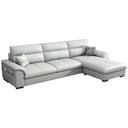 Color Cream Gray