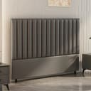 Color Dark Gray