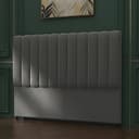 Color Dark Gray