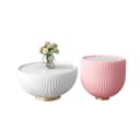 Color White/Pink
