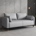 Color Light Gray