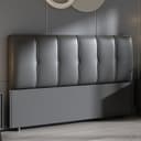 Color Dark Gray
