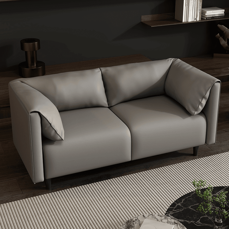 Simplistic Scratch-repellent/Water Resistant Sepia/Apricot Color/Dove Grey Loveseat/Standard Sofa with Cushion Back and Pillow Top Arm for 2-seater/for 3 for Sitting Room - image 5