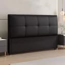 Color Black