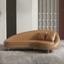 Color Dark Camel