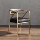 Color Gold/Black