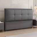 Color Dark Gray