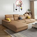 Color Light Brown