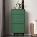 Color Blackish Green