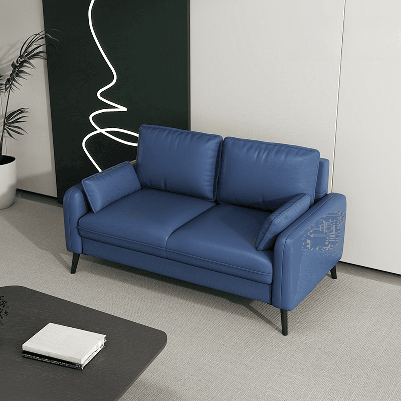 Contemporary Modern Solid Color Water Resistant Loveseat in Cerulean/Jade Green/Amber Color for 2 People with 2 Pillows
