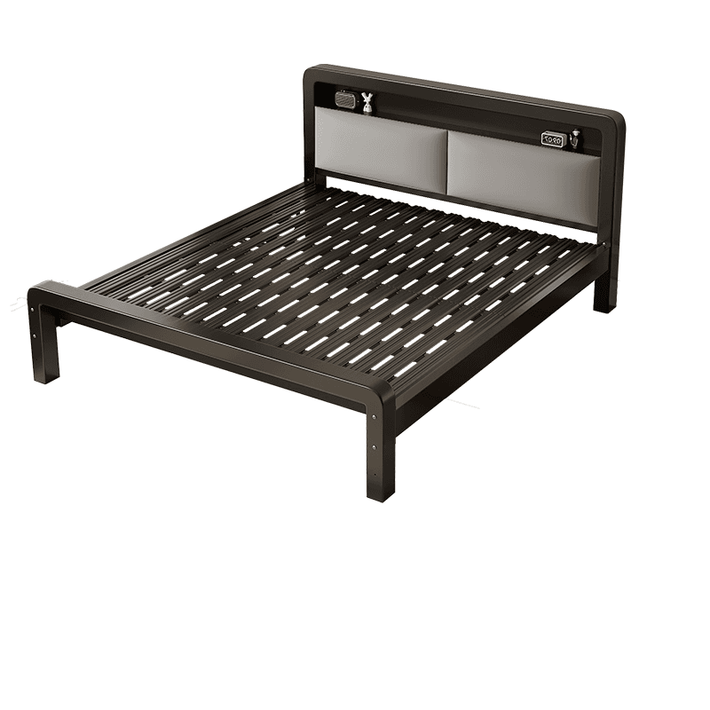 Minimalist Solid Color Storage Bed with Iron Frame and Leg for Living Room