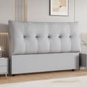 Color Light Gray