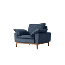 Upholstery Color Blue