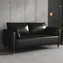 Color Gloss Black