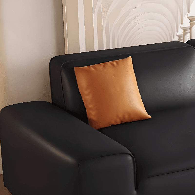 Midnight Black/White Standard Sofa/Loveseat with Armrest for Drawing Room - image 7