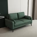 Color Blackish Green