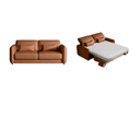 Color Brown