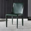 Color Dark Green