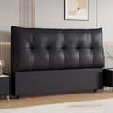 Color Black
