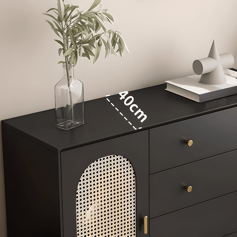 Matte Black Simplistic Wardrobe Combo with 2 Interior Shelves - image 4
